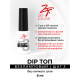 ZET COLOR DIP топ ШАГ 3 без лампы 8мл