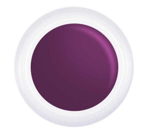 Гель-краска фиолетовая №T8 стемпинг, аэропуффинг, китайская роспись, 5 гр
