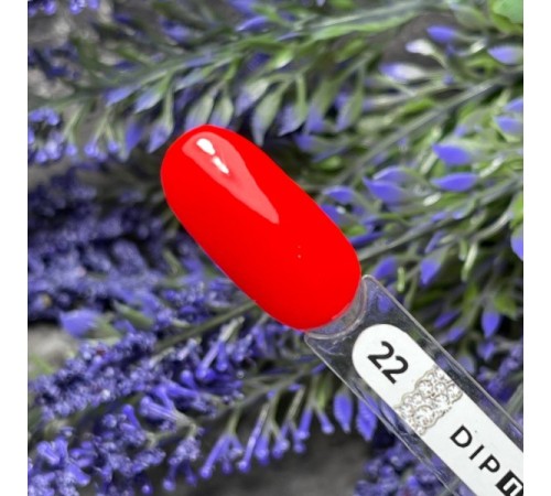 ZET COLOR Dip пудра 22 неоновая роза 6г