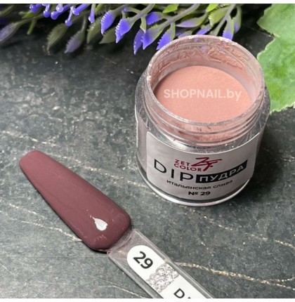 ZET COLOR Dip пудра 29 ИТАЛЬЯНСКАЯ СЛИВА 6г