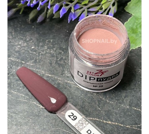 ZET COLOR Dip пудра 29 ИТАЛЬЯНСКАЯ СЛИВА 6г